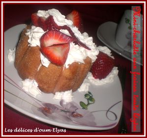 Mini Charlotte aux fraises (250g fromage blanc + 1-copie-2