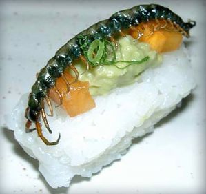 sushis insectes1