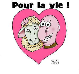 Mouton3b
