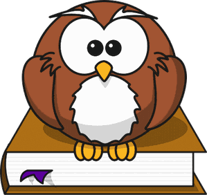 cartoon owl sitting on a book T Transp