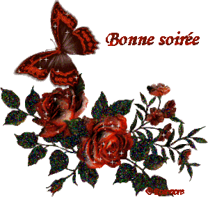 bonne soirée roses rouges