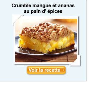 crumble--mangue-ananas-et-pain-d-epice-toupargel.jpg