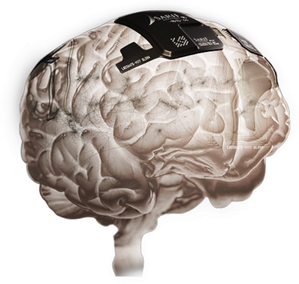 Image-977.png