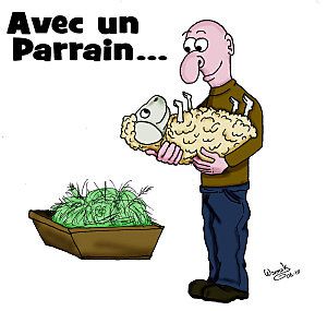 Mouton2c