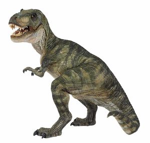 55001-tyrannosaure%20rex