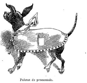 vetements-pour-chiens-1896.JPG