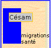 migration-sante-logo.png