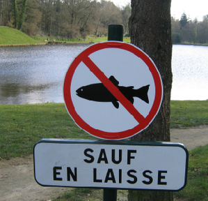 poisson-d-avril.png