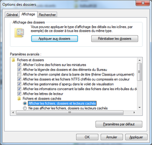 dossiers-caches.png
