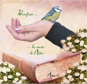 Bonjour