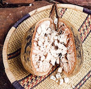 616px-Baobab_seeds.jpg