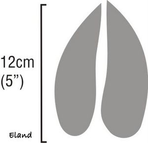 eland-spoor