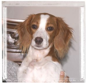 02 02 02 2010 veurey (25)