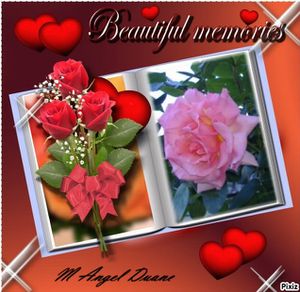 creations-jardin-2013-pixiz--3--angel-duane.jpg