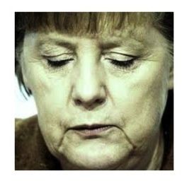 dodo12.jpg