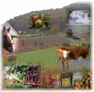 RCAgCollage3a-copie-1.jpg