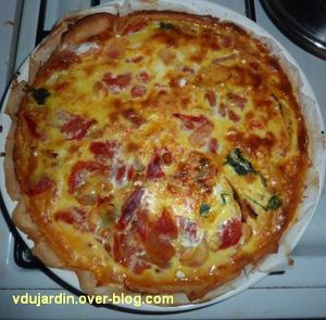 tarete_tomate_radis_dujardin.jpg
