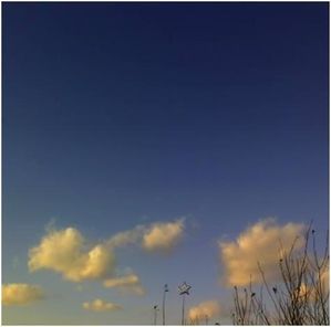 2010-02-27