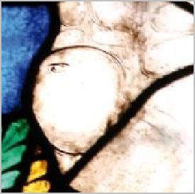 oeil-ventre-eve.JPG