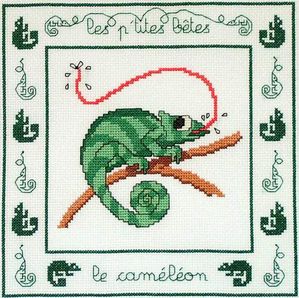 0110_cameleon.JPG