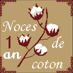 noces-de-coton.png