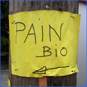 pain bio s