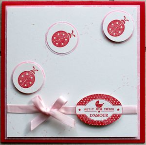 coccinelles