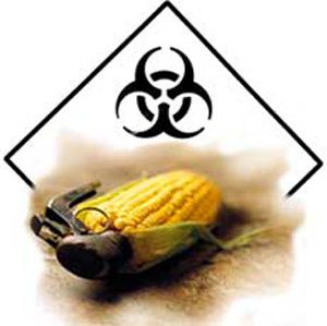 monsanto-toxic.jpg