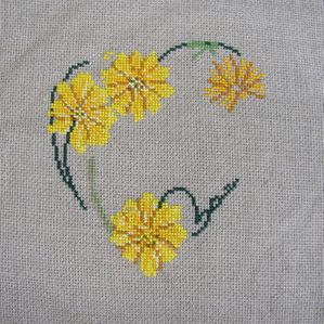 coreopsis24-9