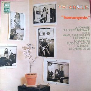 Vinyle-Homonymie---TRIANGLE---recto---1973.jpg