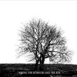 Mr David Viner - Among The Rumours And The Rye
