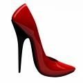 talons
