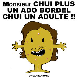 Monsieur-chui-plus-un-ado.jpg