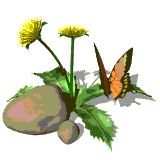 nature-source_ki9.gif