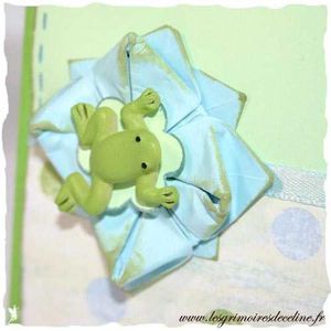 merci-grenouille-lotus-3