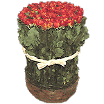 bouquet006.gif