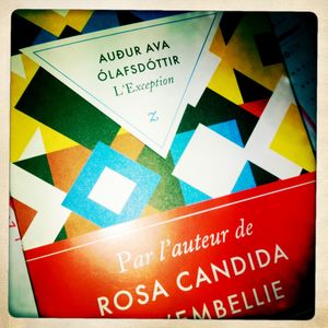 la-librairie-2622.JPG