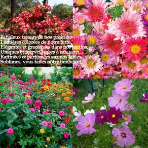 fleurs-copie-2.jpg