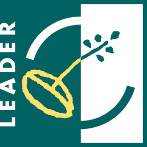 logo-LEADER--2-.jpg