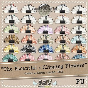 MissVivi_TheE_ClippingFlowers_PV500.jpg