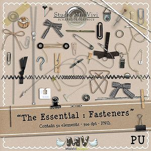 MissVivi_TheE_Fasteners_PV500.jpg