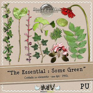 MissVivi_TheE_SomeGreen_PV500.jpg