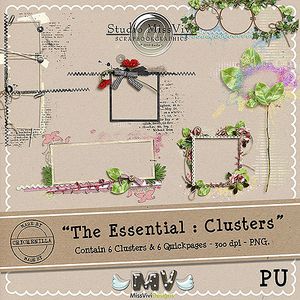 MissVivi_TheEssential_Clusters_PV1_500.jpg