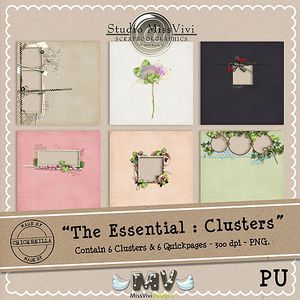 MissVivi_TheEssential_Clusters_PV2_500.jpg
