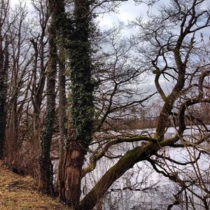 Février - Etang Versaileux 1