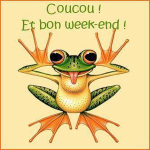 grenouille-bon-week-end.jpg