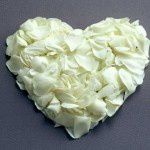 coeur-petales-blanches-150x150