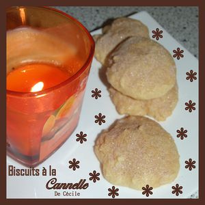 Biscuits-a-la-cannelle-by-Nath-.jpg