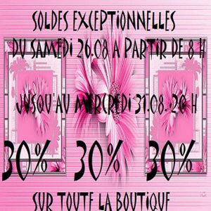 soldes-aout-2011.jpg