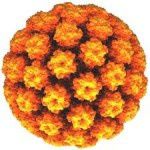 virus-mutations.jpg